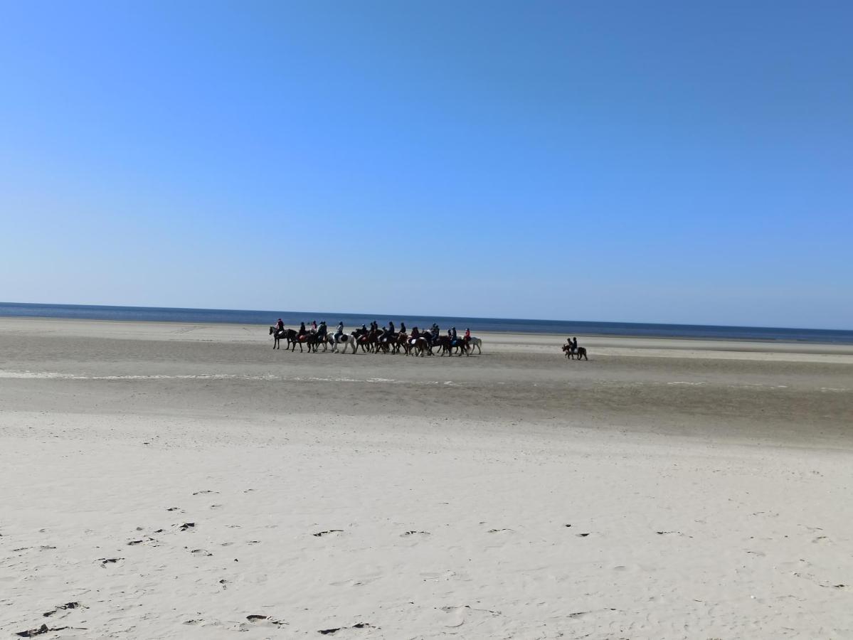 Gite Les Chalets Du Fliers Verton Meubles De Tourisme Classes 2 Etoiles Berck Kültér fotó