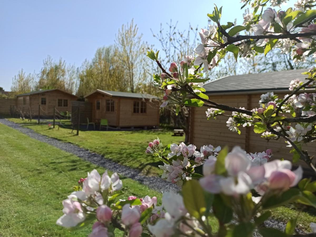 Gite Les Chalets Du Fliers Verton Meubles De Tourisme Classes 2 Etoiles Berck Kültér fotó